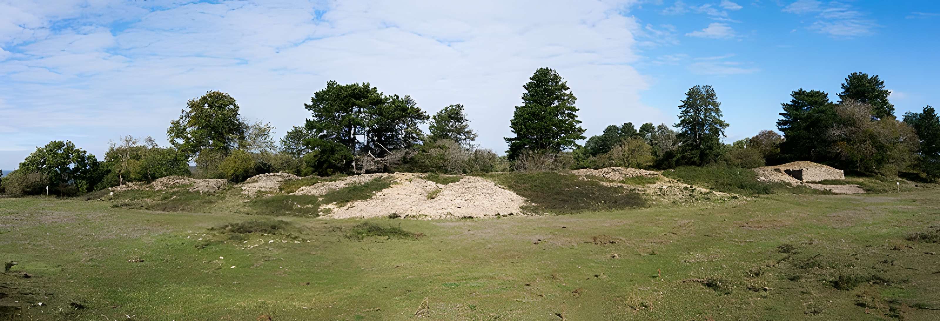 Camp de Myard ou Miard