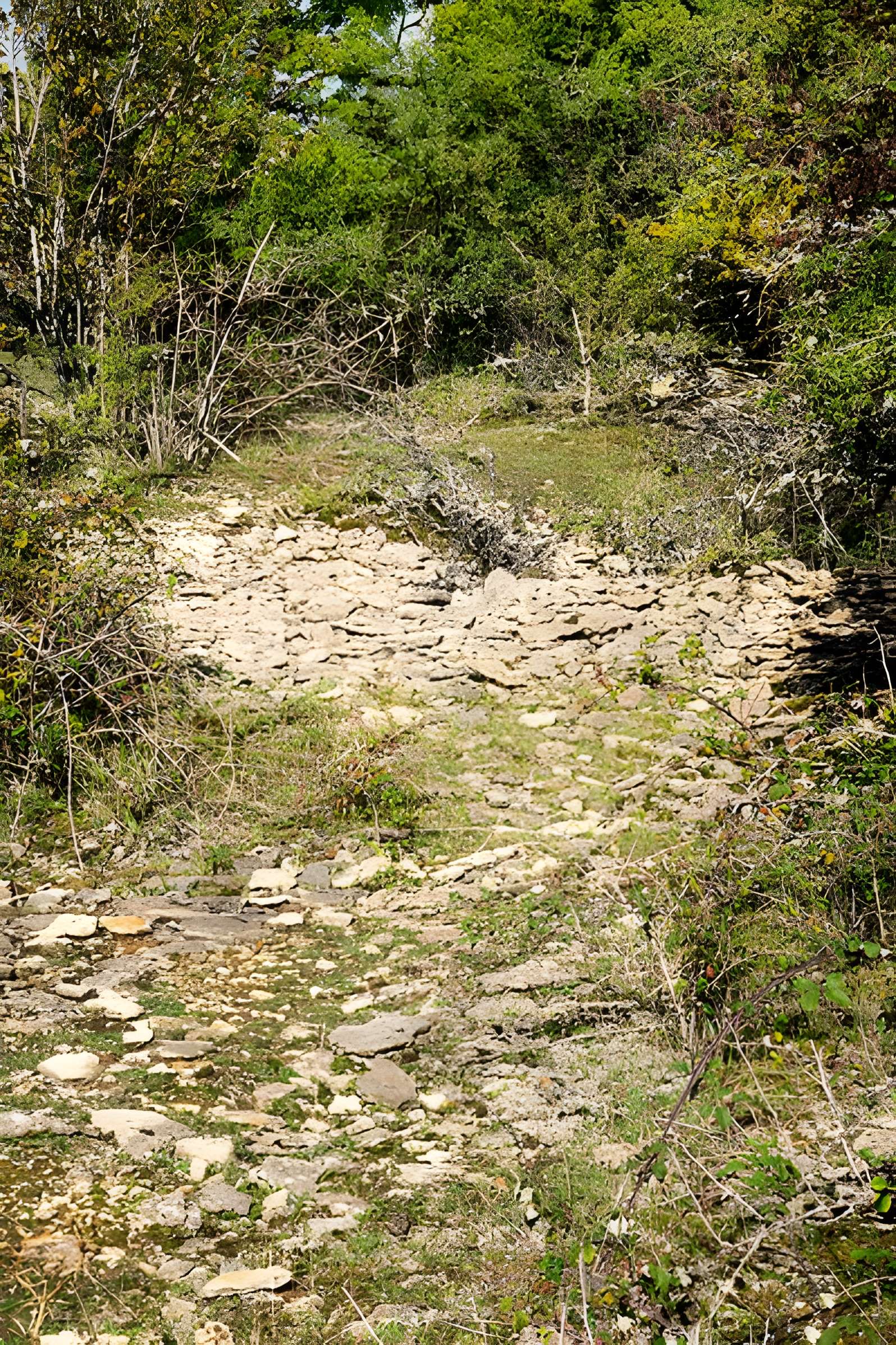 Camp de Myard ou Miard