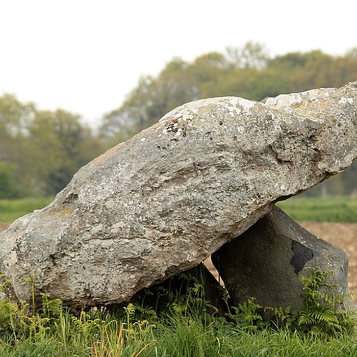 Photo de Dolmen dit de la Ville Tanguy