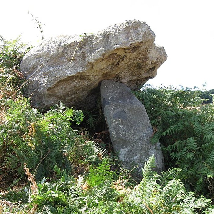 Photo de Dolmen dit de la Ville Tanguy