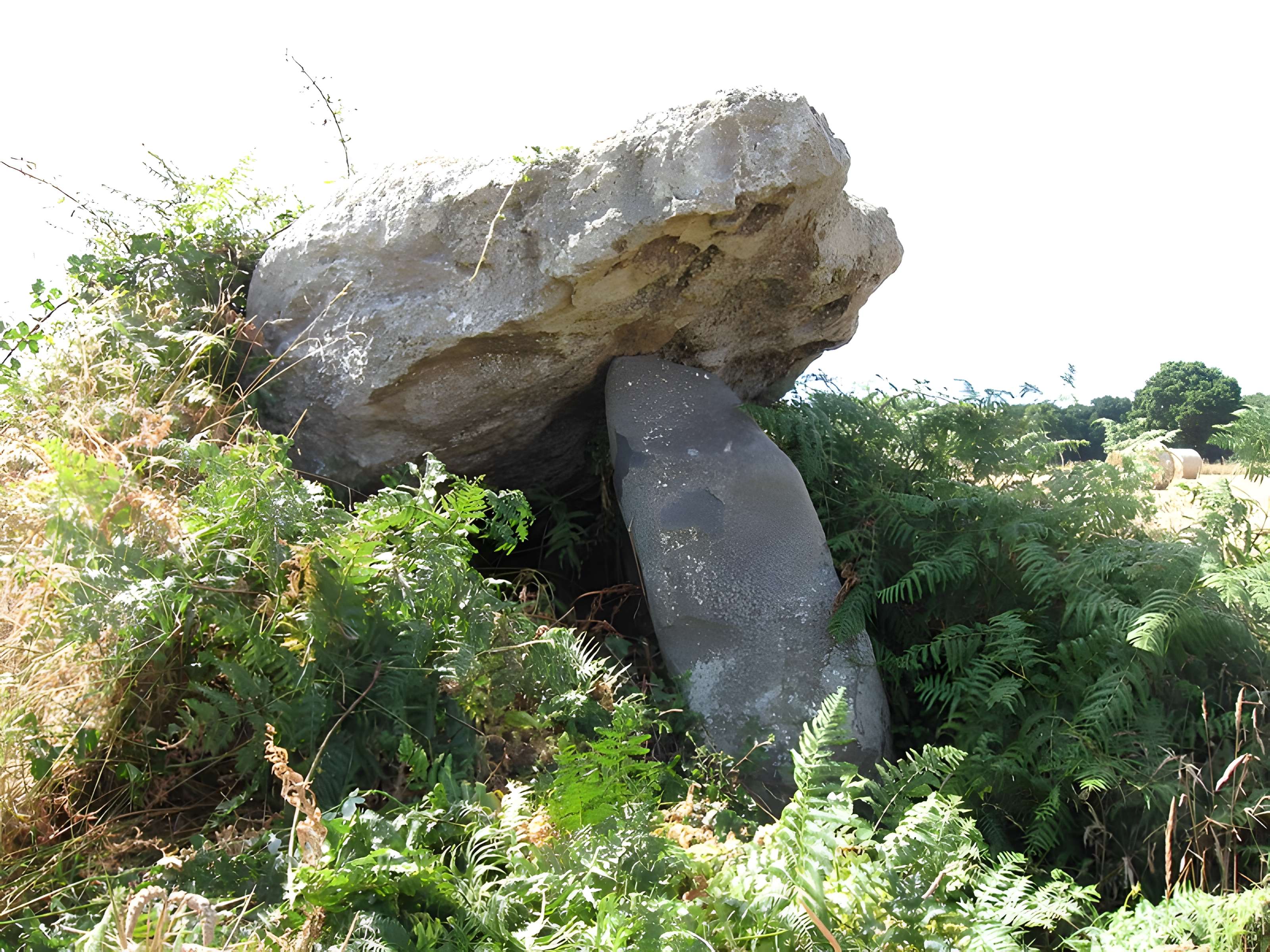 Dolmen dit de la Ville Tanguy