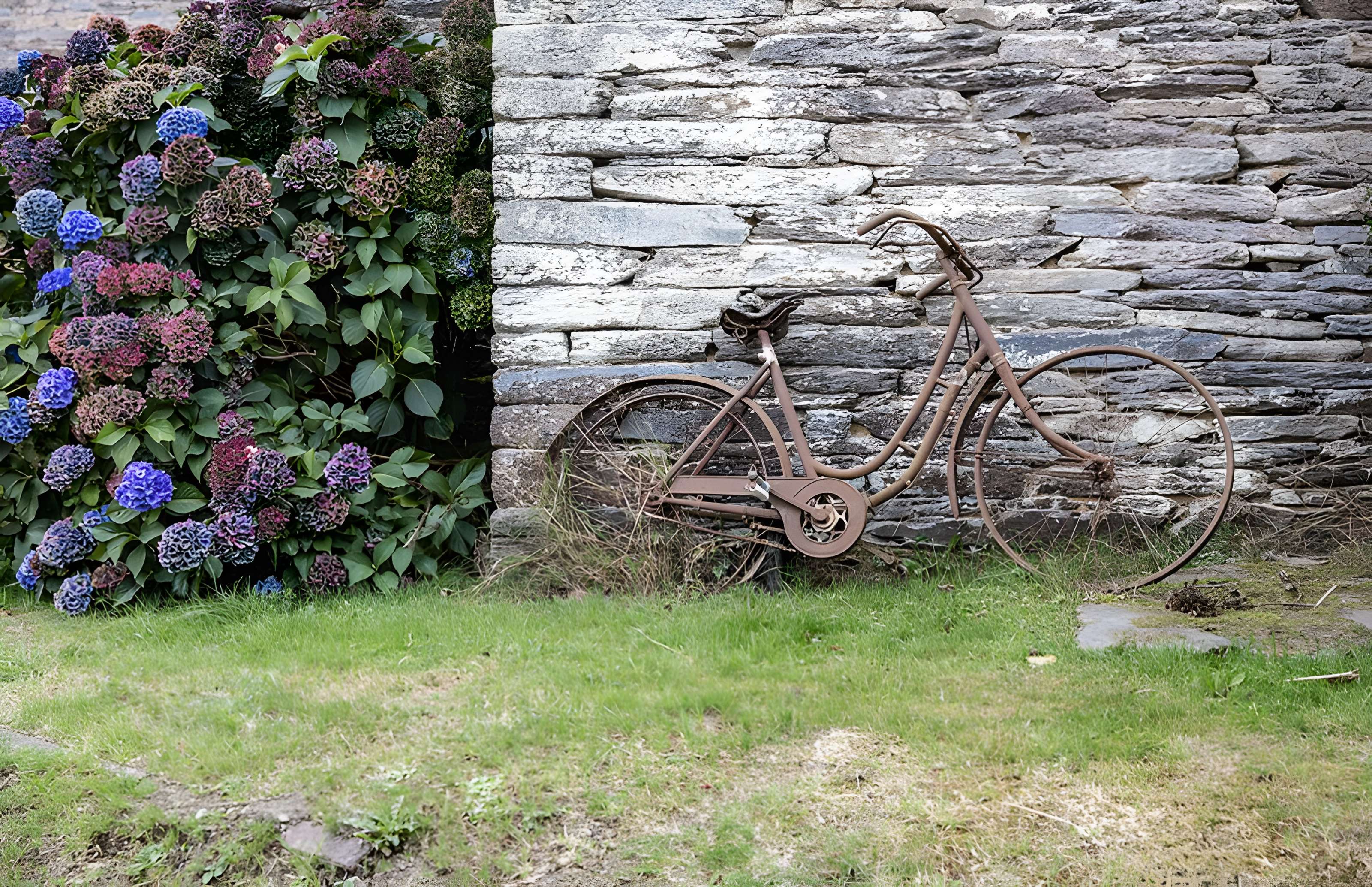 Anciennes forges des Salles (également sur commune de Sainte-Brigitte, dans le Morbihan)