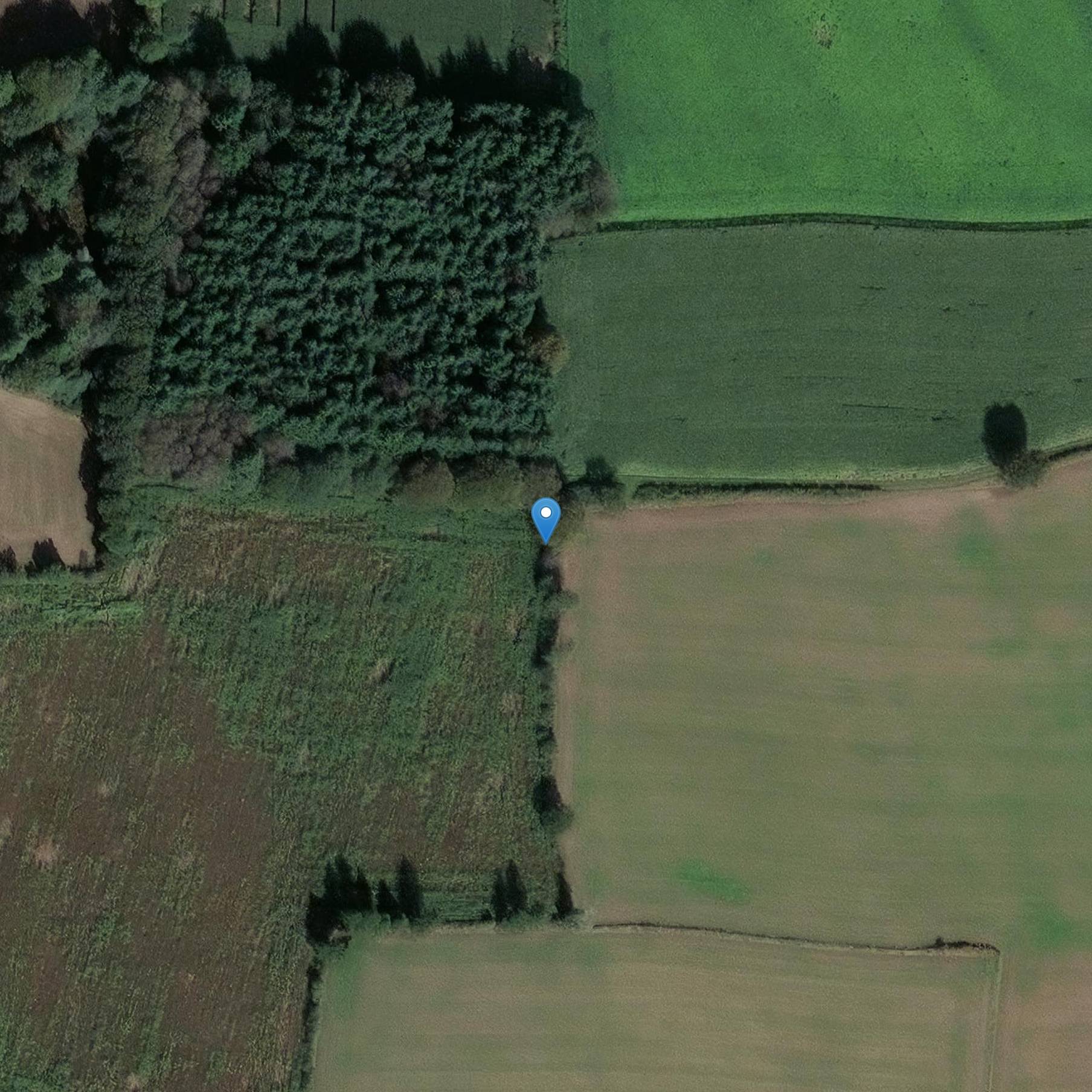 Photo de Zwei Menhire