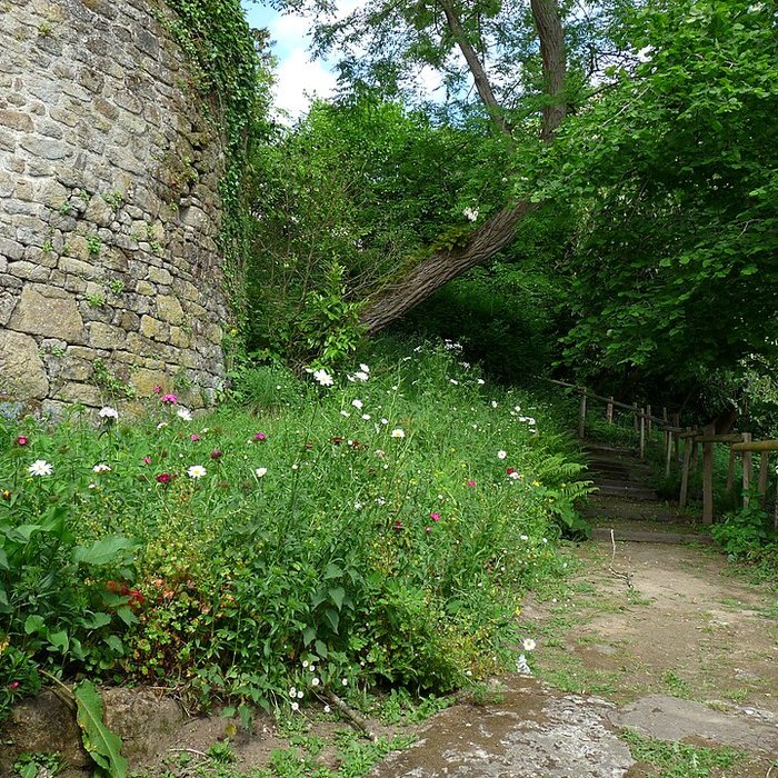 Photo de Maison de la Grande Vigne