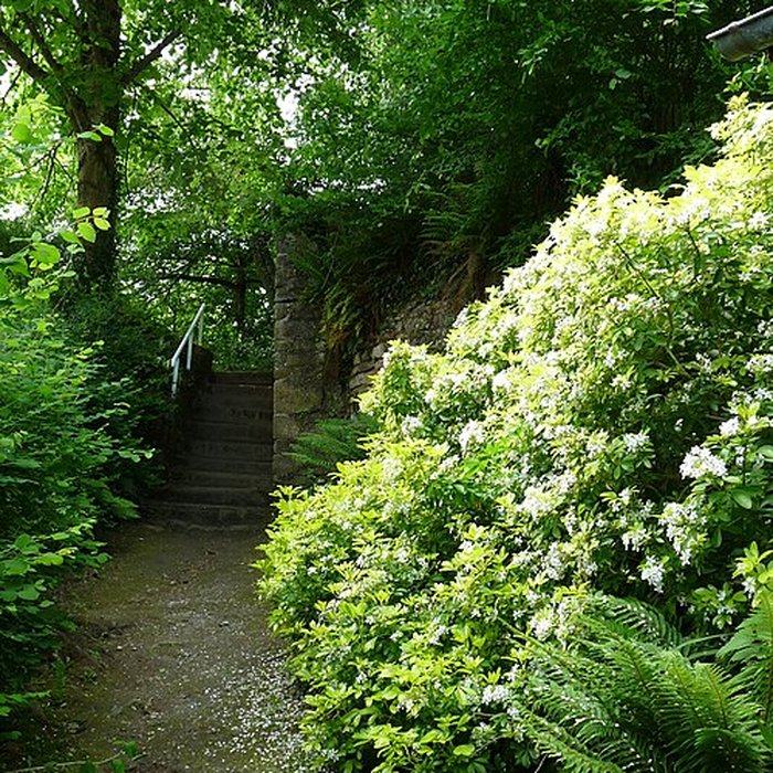 Photo de Maison de la Grande Vigne
