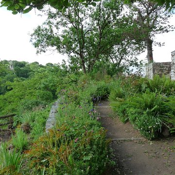 Maison de la Grande Vigne