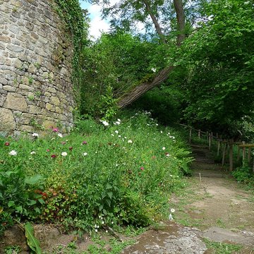 Maison de la Grande Vigne