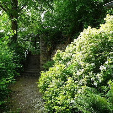 Maison de la Grande Vigne