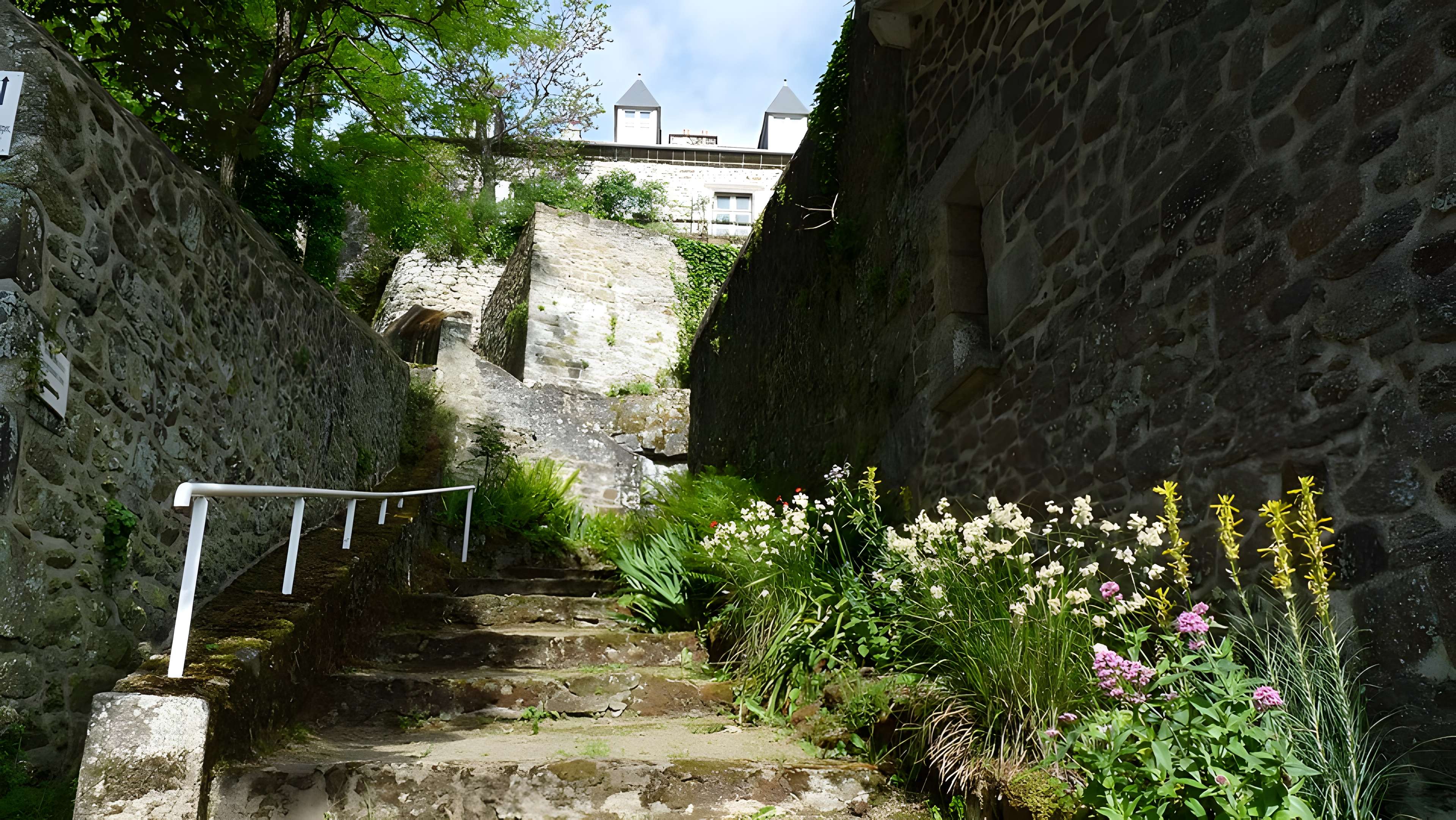 Maison de la Grande Vigne