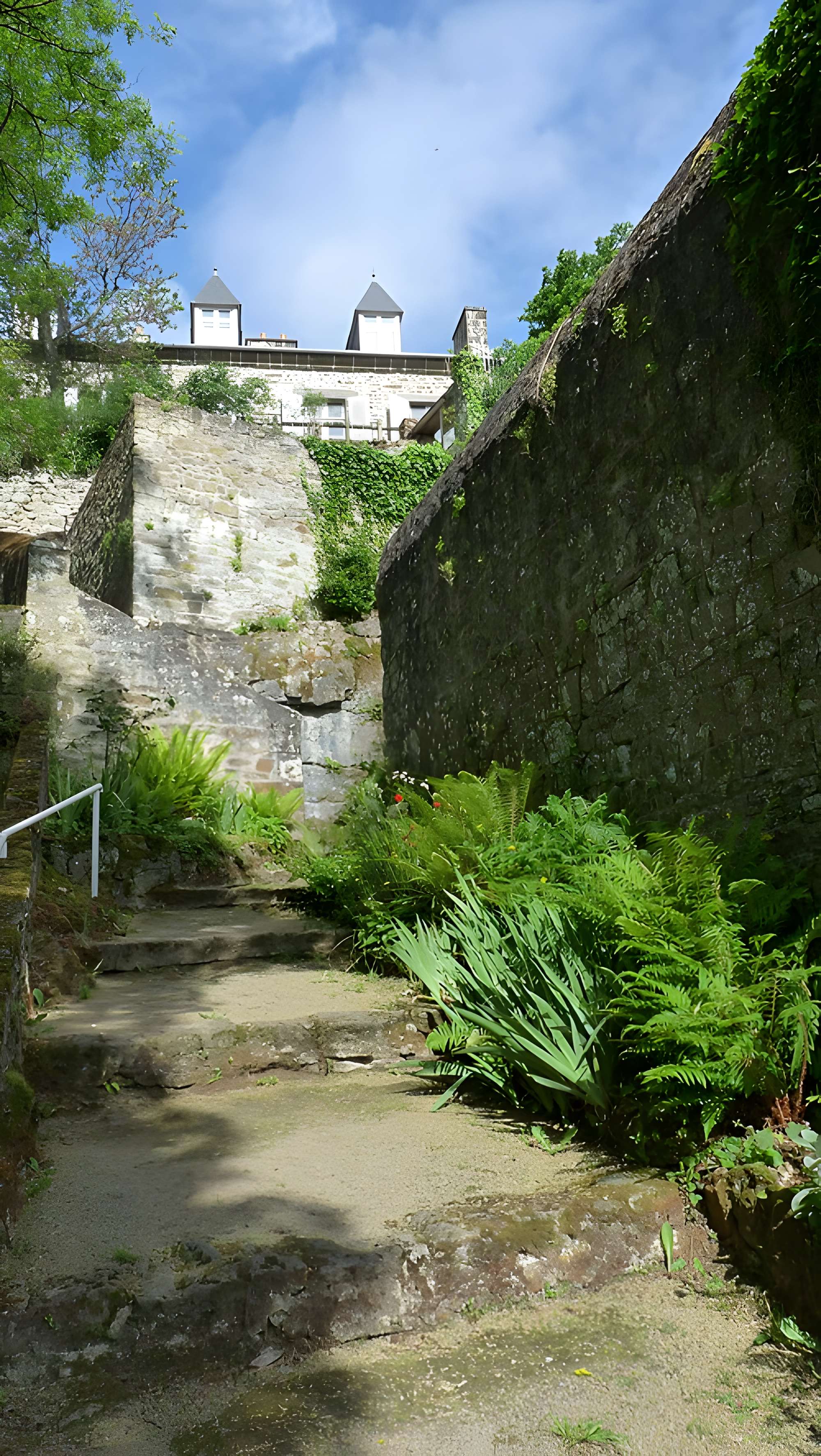 Maison de la Grande Vigne