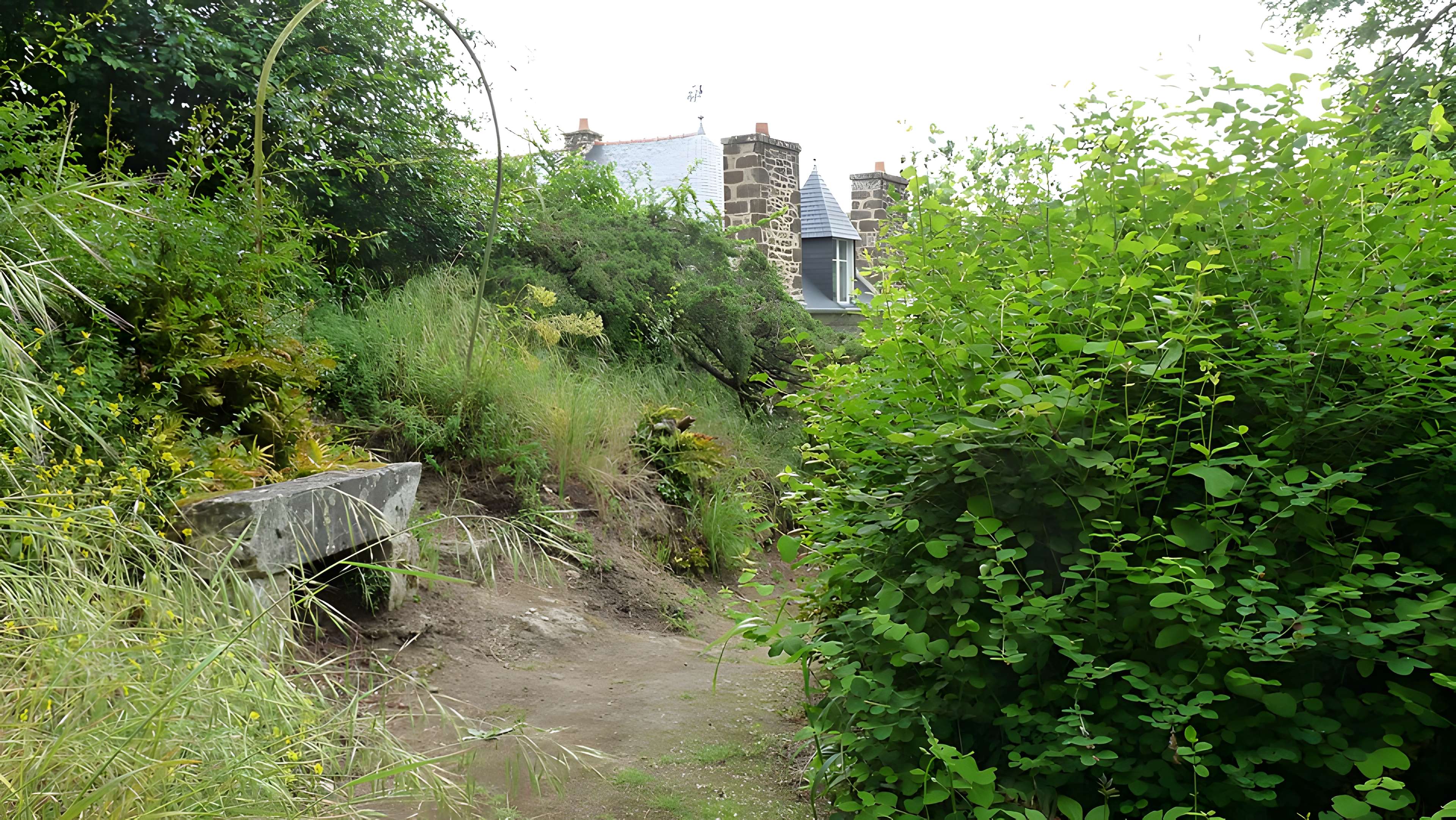 Maison de la Grande Vigne