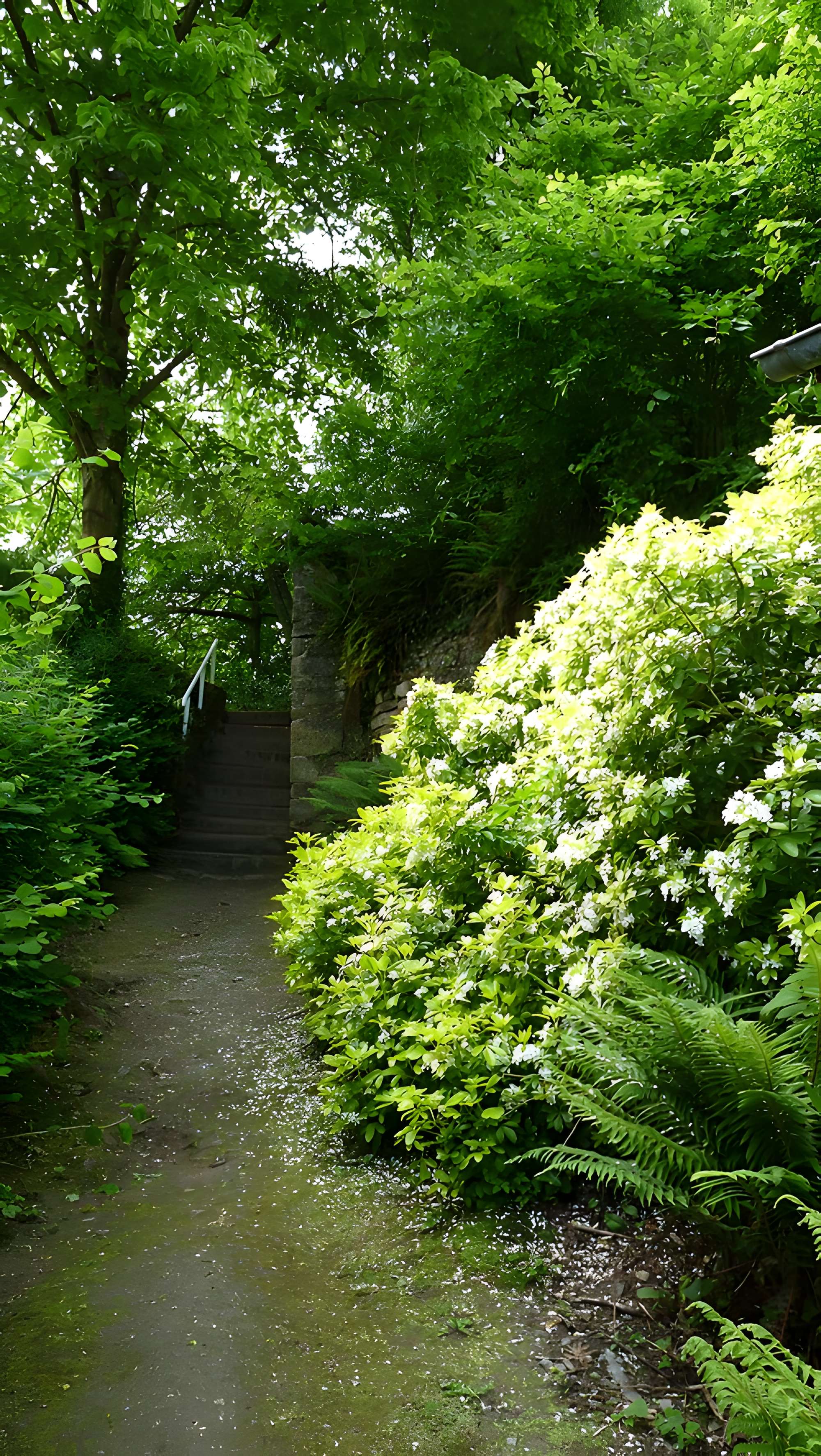 Maison de la Grande Vigne