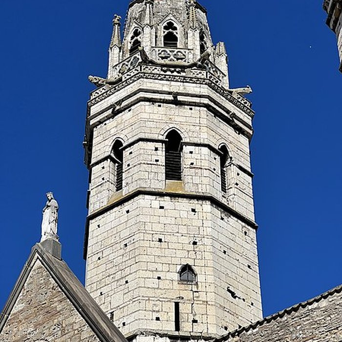 Photo de Cathédrale Vieux-Saint-Vincent de Mâcon
