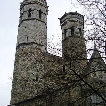 Cathédrale Vieux-Saint-Vincent de Mâcon