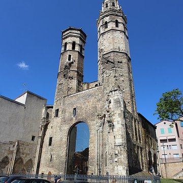Cathédrale Vieux-Saint-Vincent de Mâcon