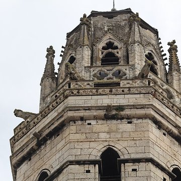 Cathédrale Vieux-Saint-Vincent de Mâcon