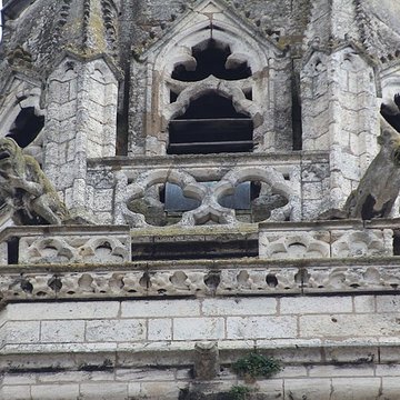 Cathédrale Vieux-Saint-Vincent de Mâcon