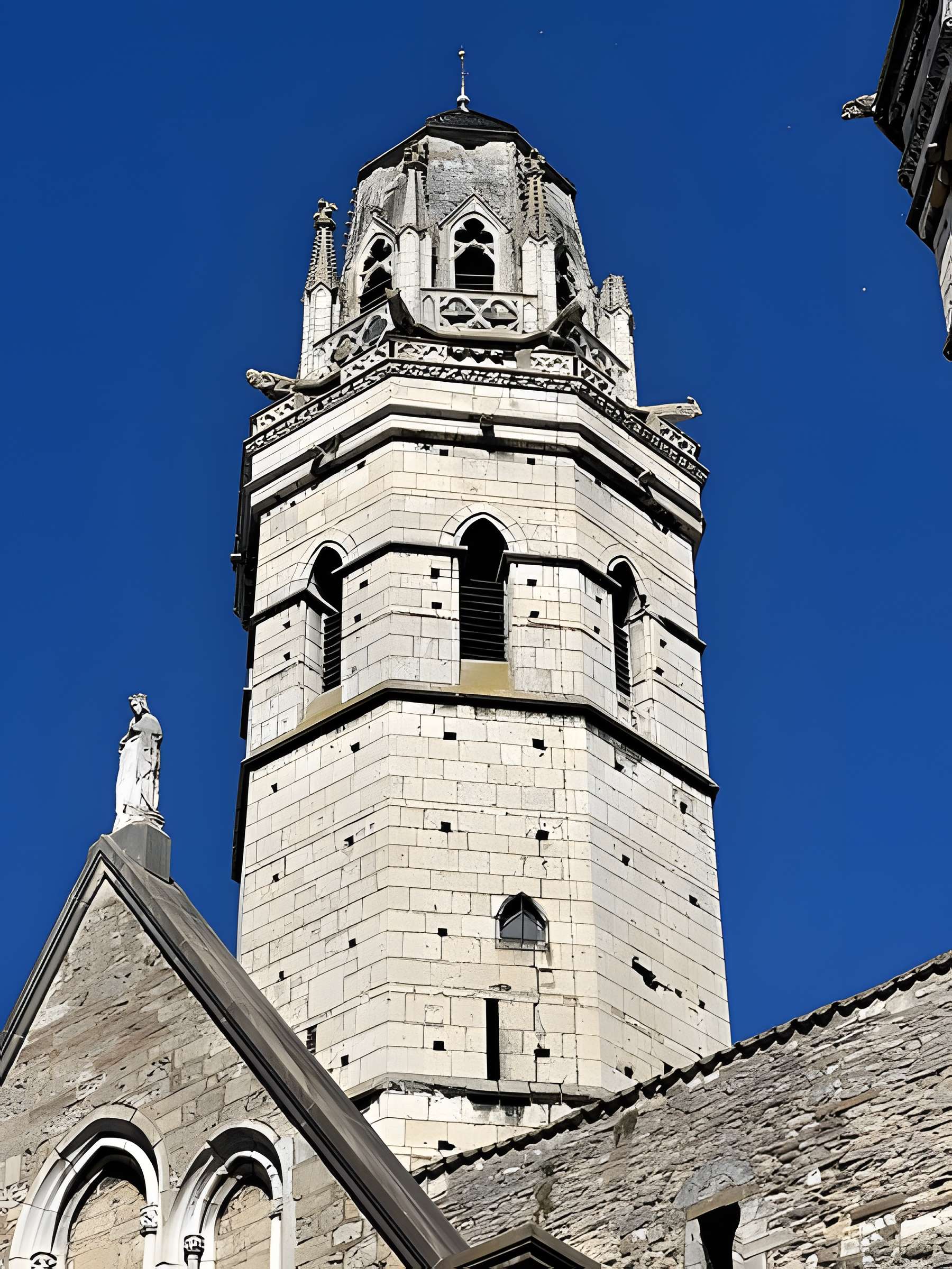 Cathédrale Vieux-Saint-Vincent de Mâcon