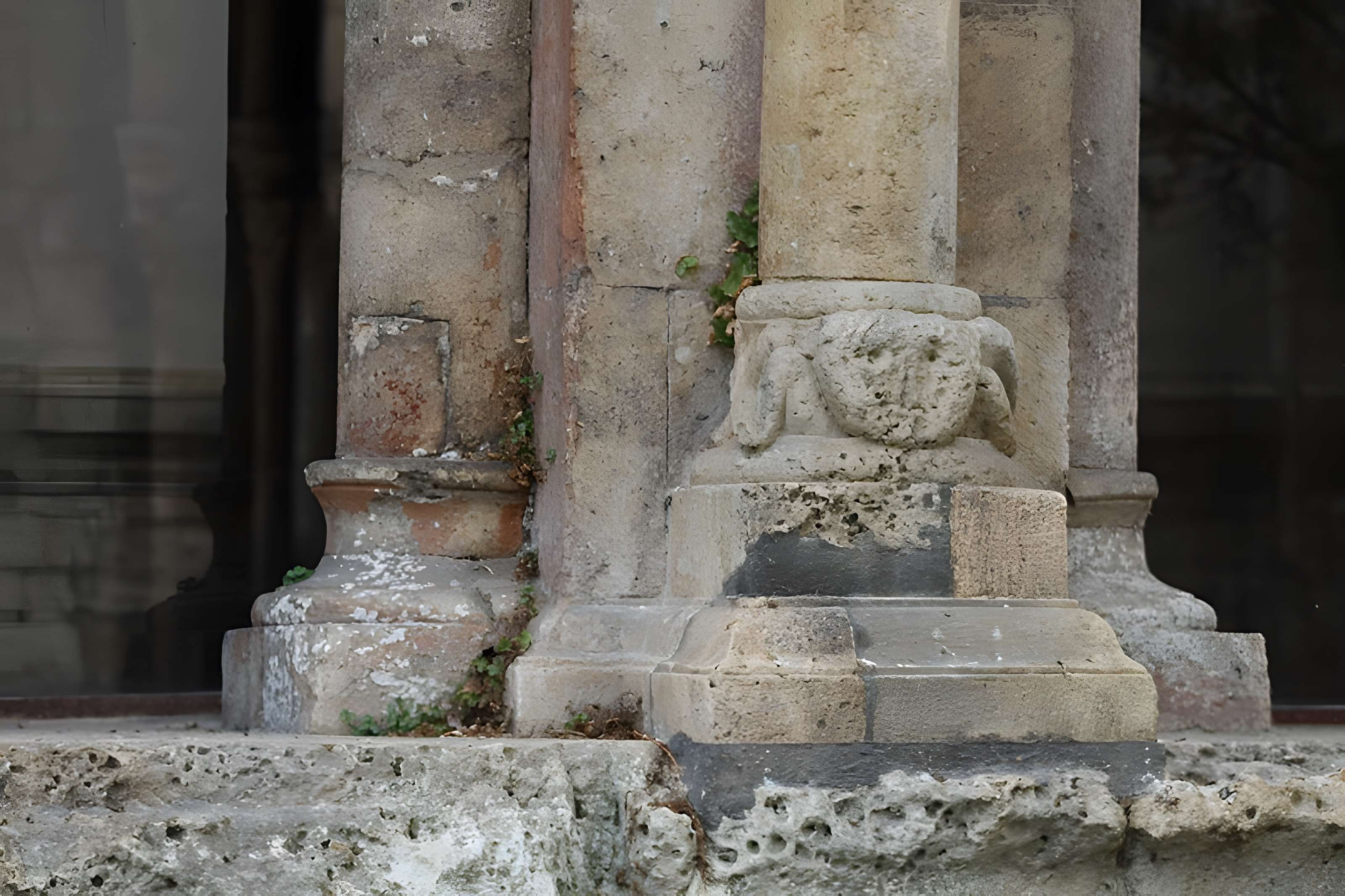 Cathédrale Vieux-Saint-Vincent de Mâcon