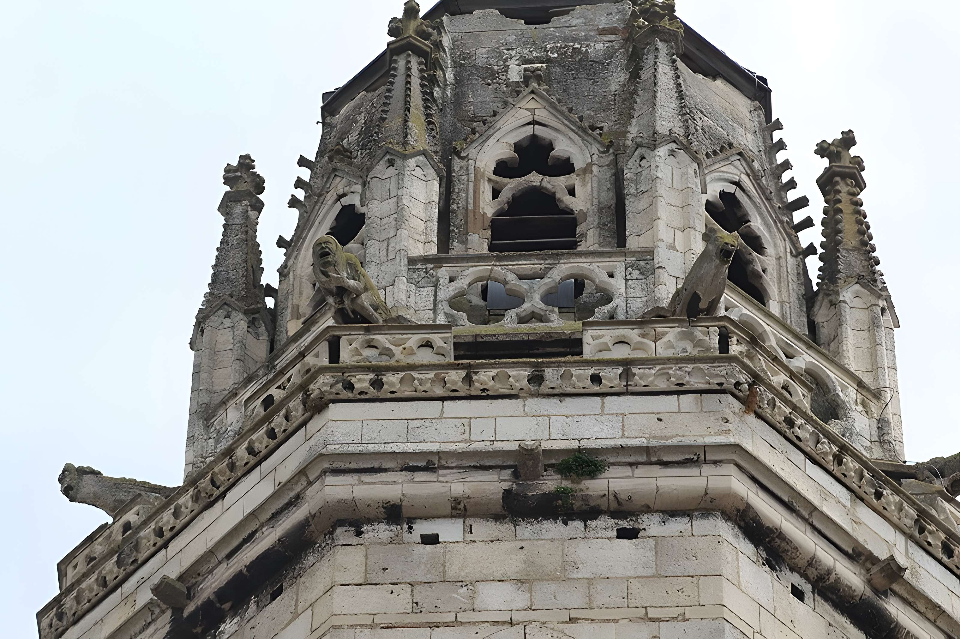 Cathédrale Vieux-Saint-Vincent de Mâcon