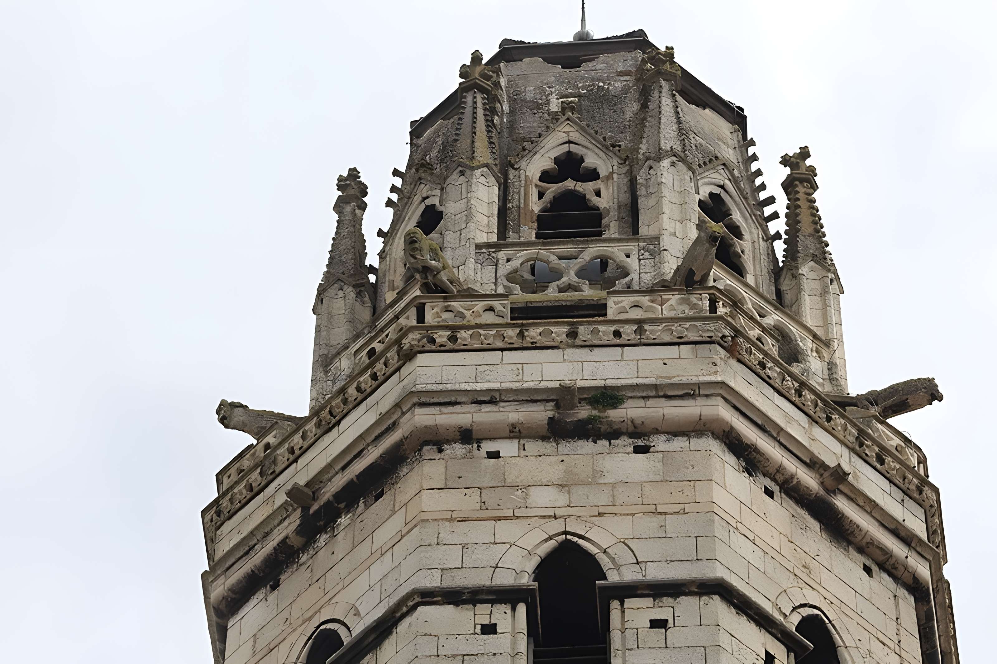 Cathédrale Vieux-Saint-Vincent de Mâcon