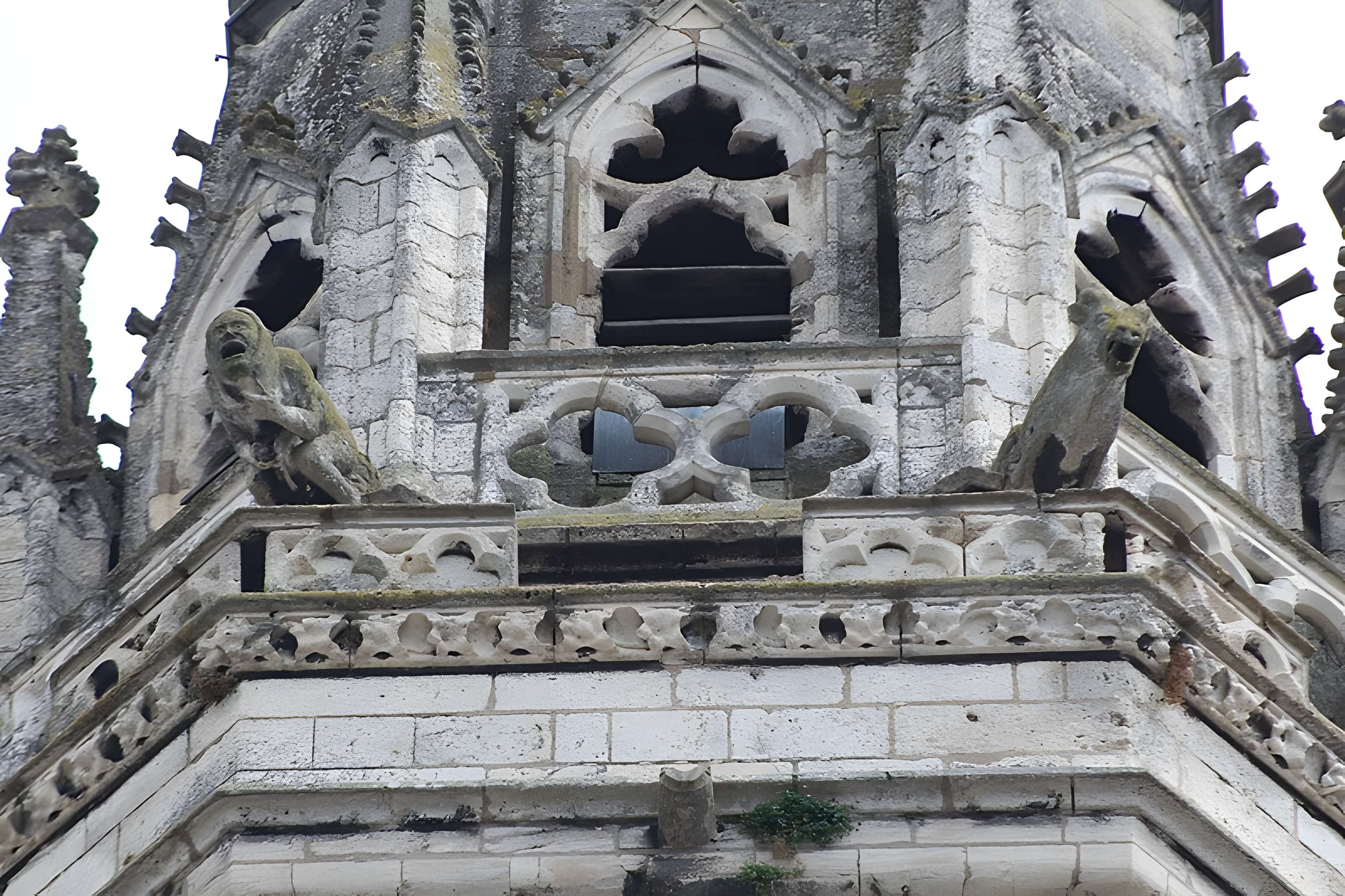 Cathédrale Vieux-Saint-Vincent de Mâcon