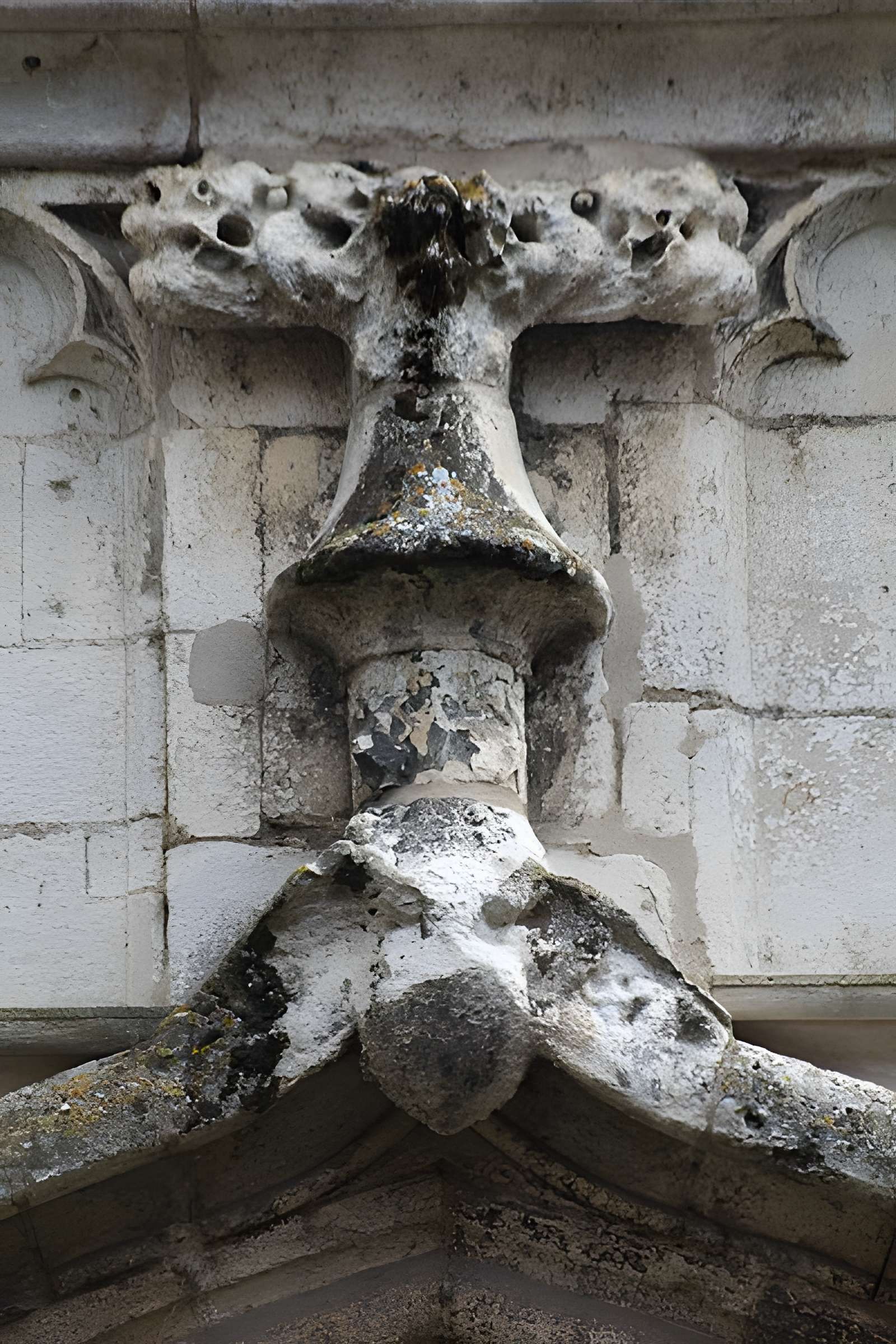 Cathédrale Vieux-Saint-Vincent de Mâcon
