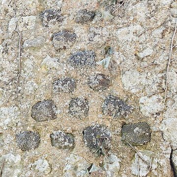 Église Notre-Dame dAthenay