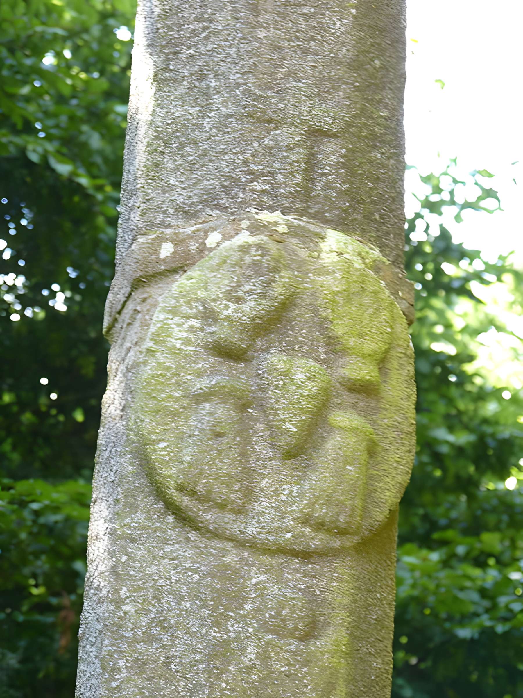 Croix du XVIIe siècle située devant la chapelle de Langoërat