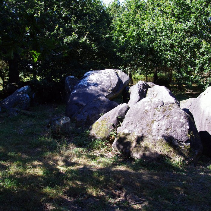 Photo de Allée couverte du Chêne-Hut