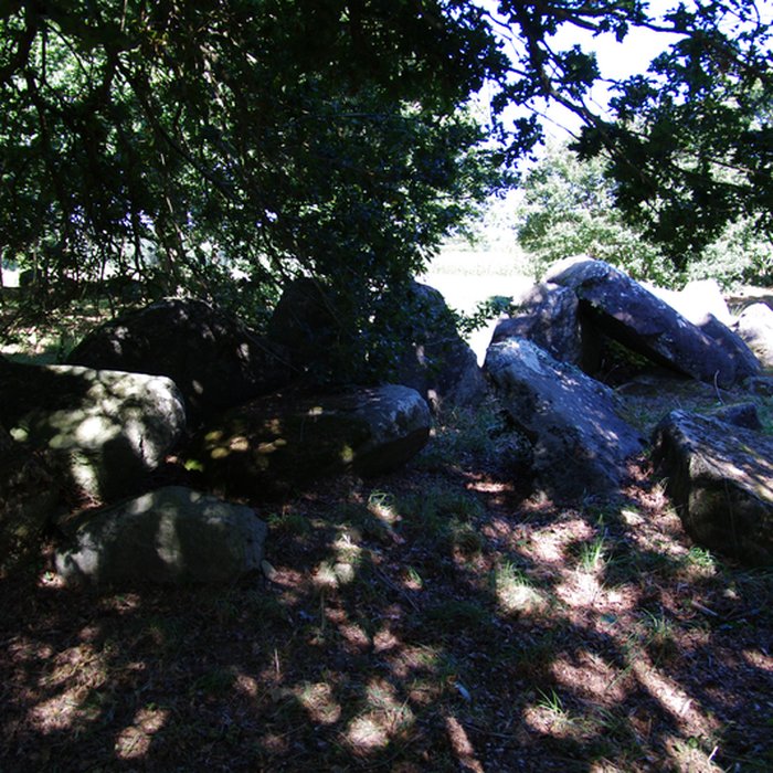 Photo de Allée couverte du Chêne-Hut