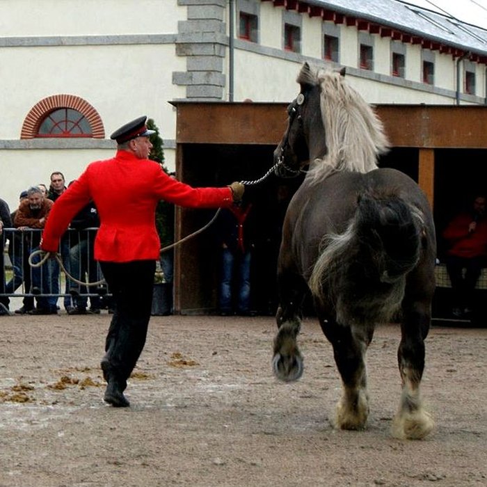 Photo de Haras national