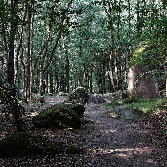 Photo de Menhir de Guihallon