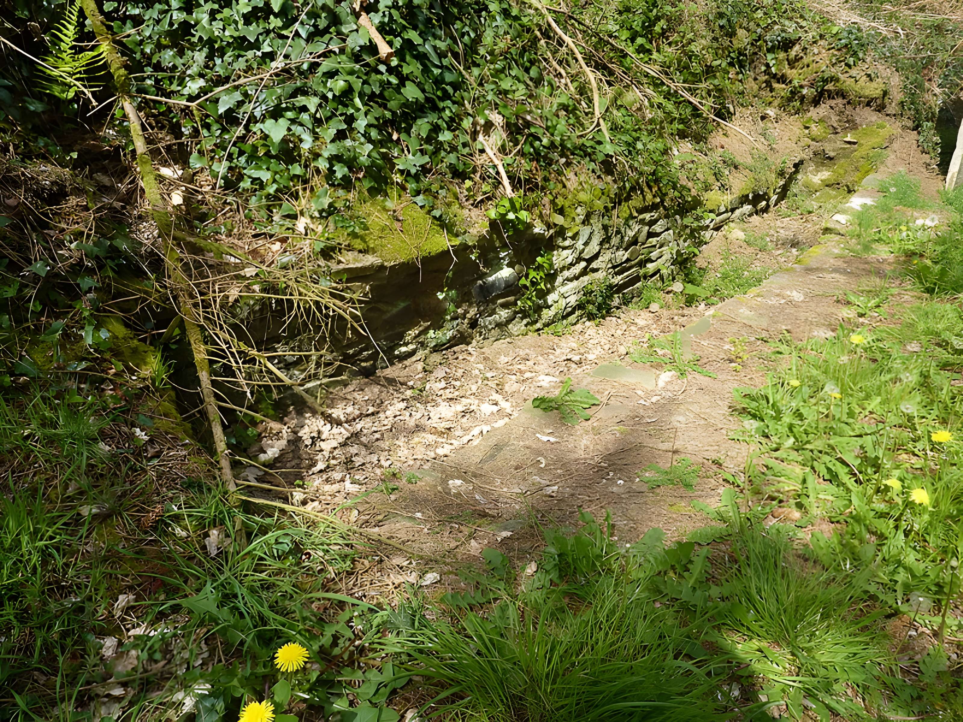 Tunnel de Kervoaguel (également sur commune de Paule)