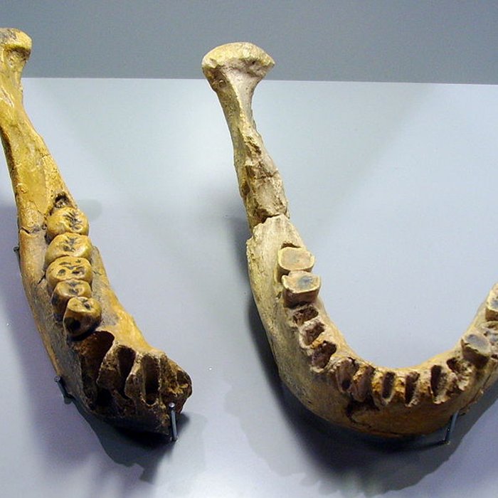 Photo de Grotte de la Caune de lArago