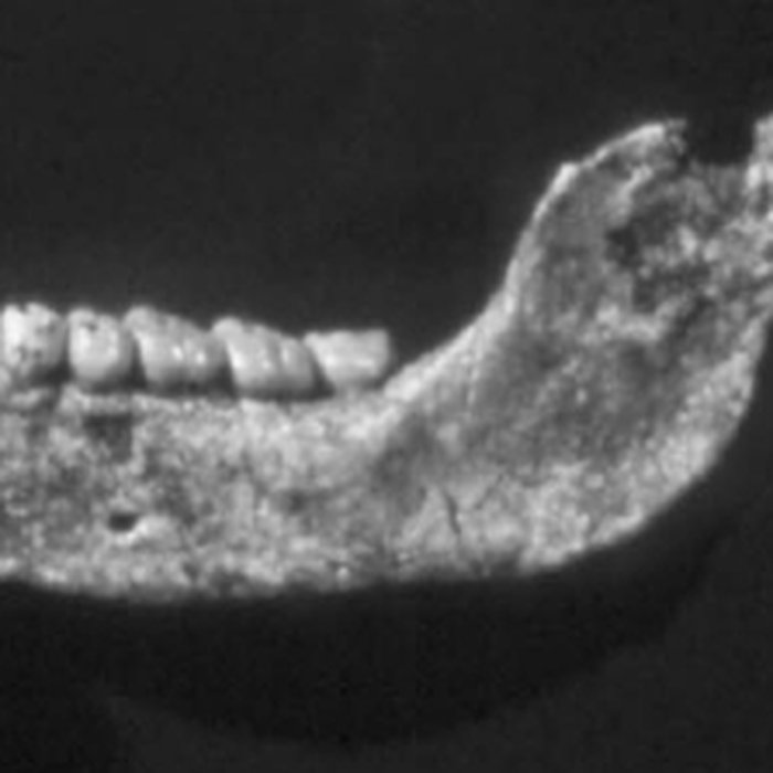 Photo de Grotte de la Caune de lArago