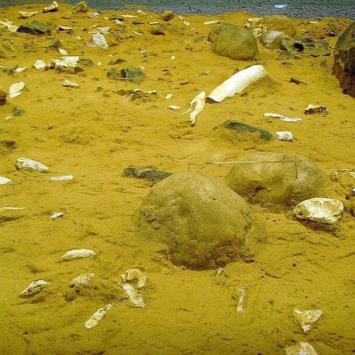 Photo de Grotte de la Caune de lArago