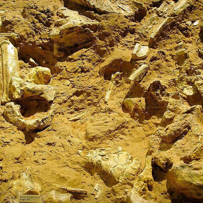 Photo de Grotte de la Caune de lArago