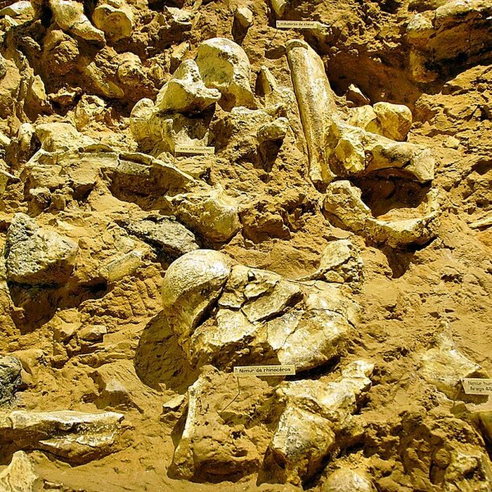 Photo de Grotte de la Caune de lArago