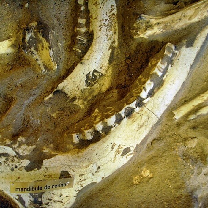 Photo de Grotte de la Caune de lArago