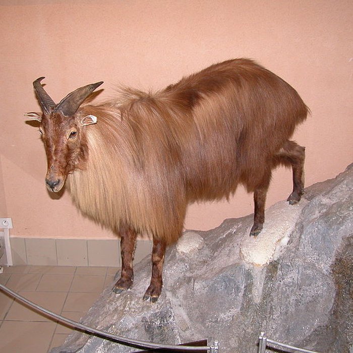 Photo de Grotte de la Caune de lArago