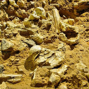 Grotte de la Caune de lArago