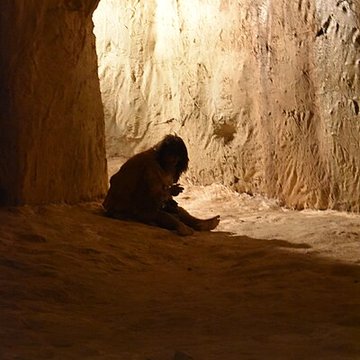 Grotte de la Caune de lArago