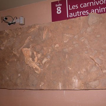 Grotte de la Caune de lArago