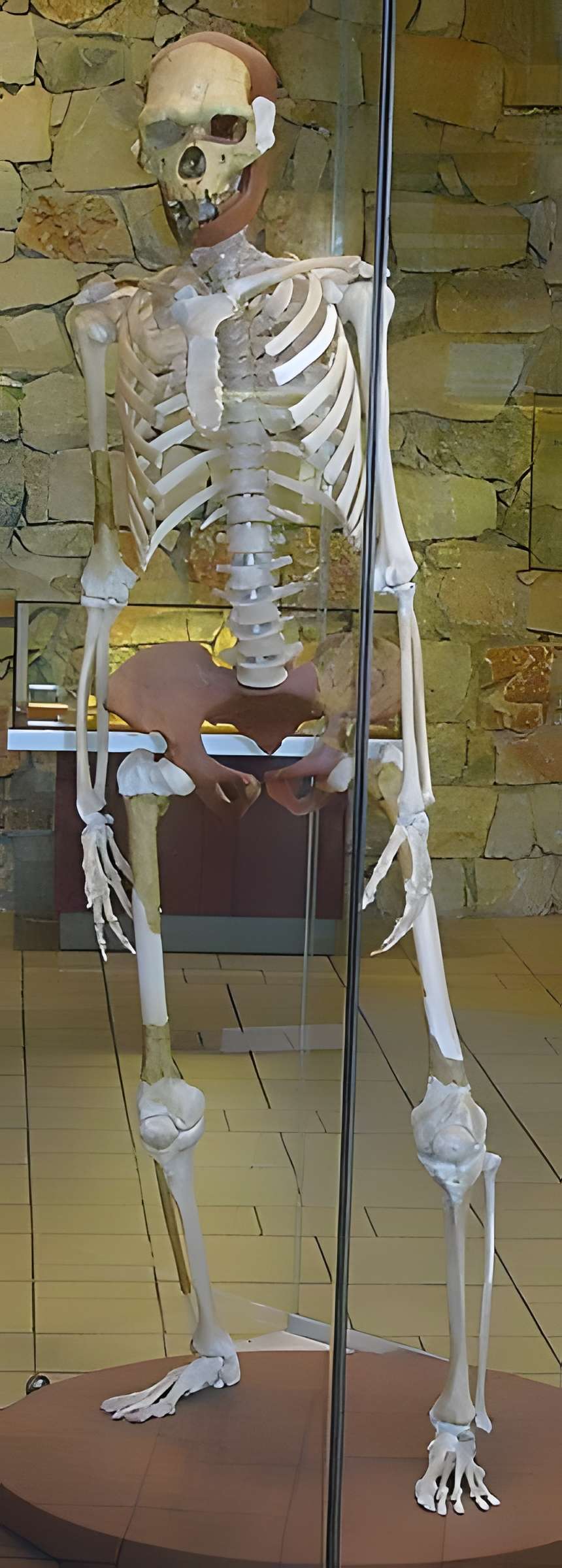 Grotte de la Caune de l'Arago