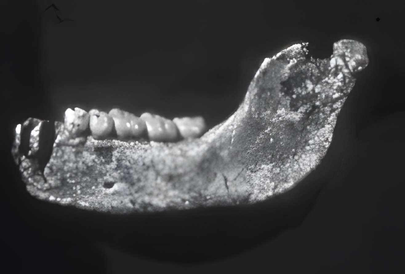 Grotte de la Caune de l'Arago