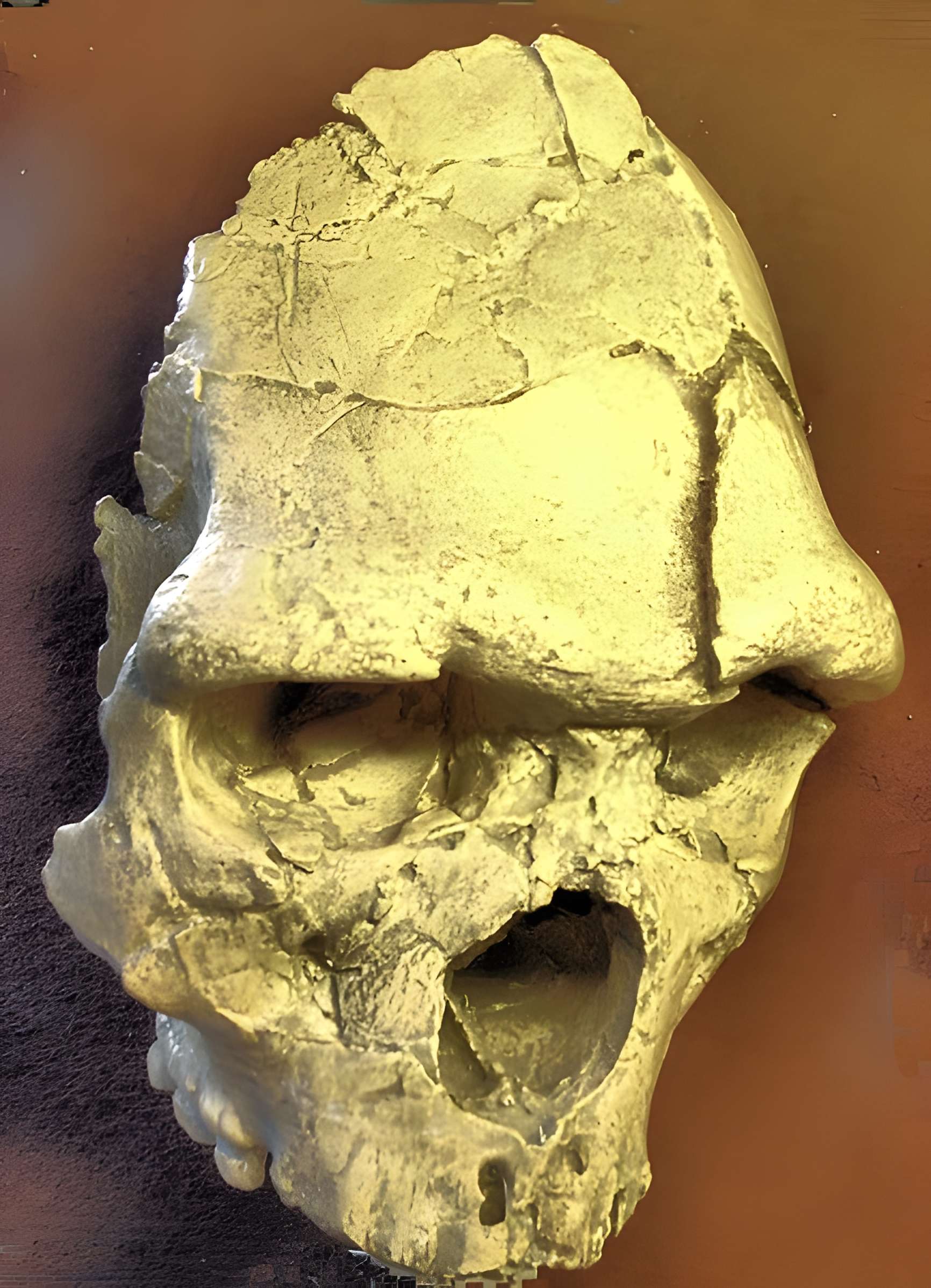 Grotte de la Caune de l'Arago