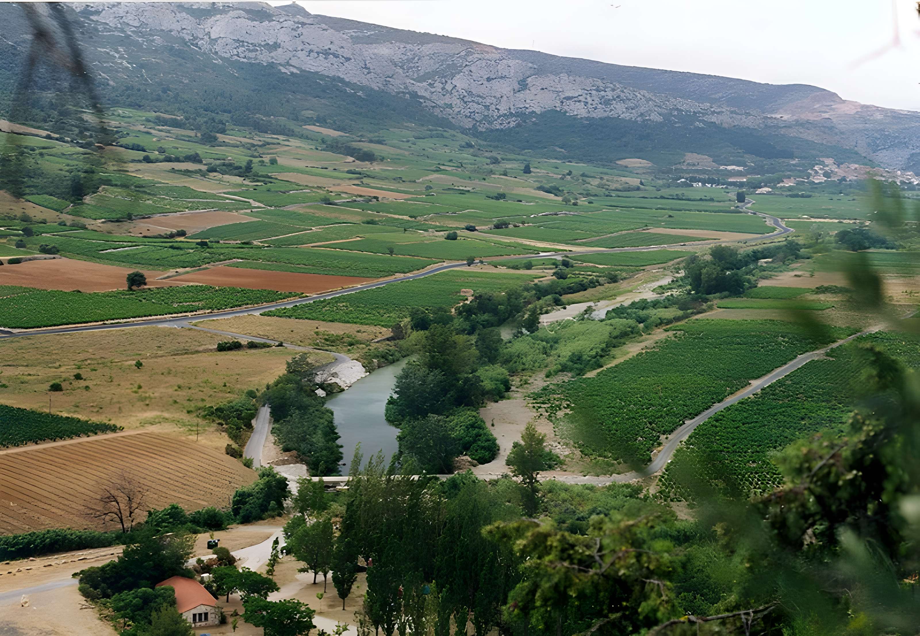 Grotte de la Caune de l'Arago