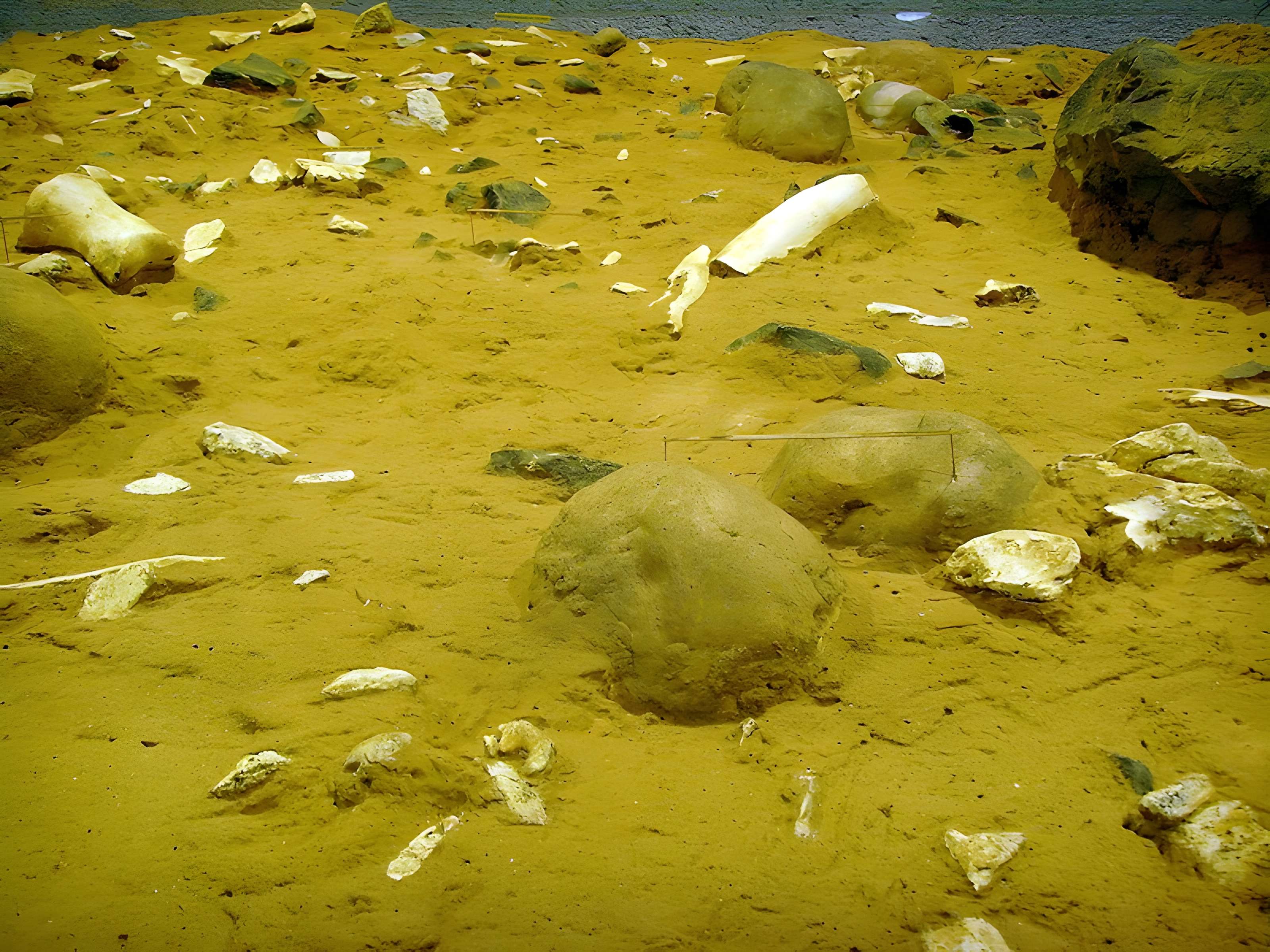 Grotte de la Caune de l'Arago