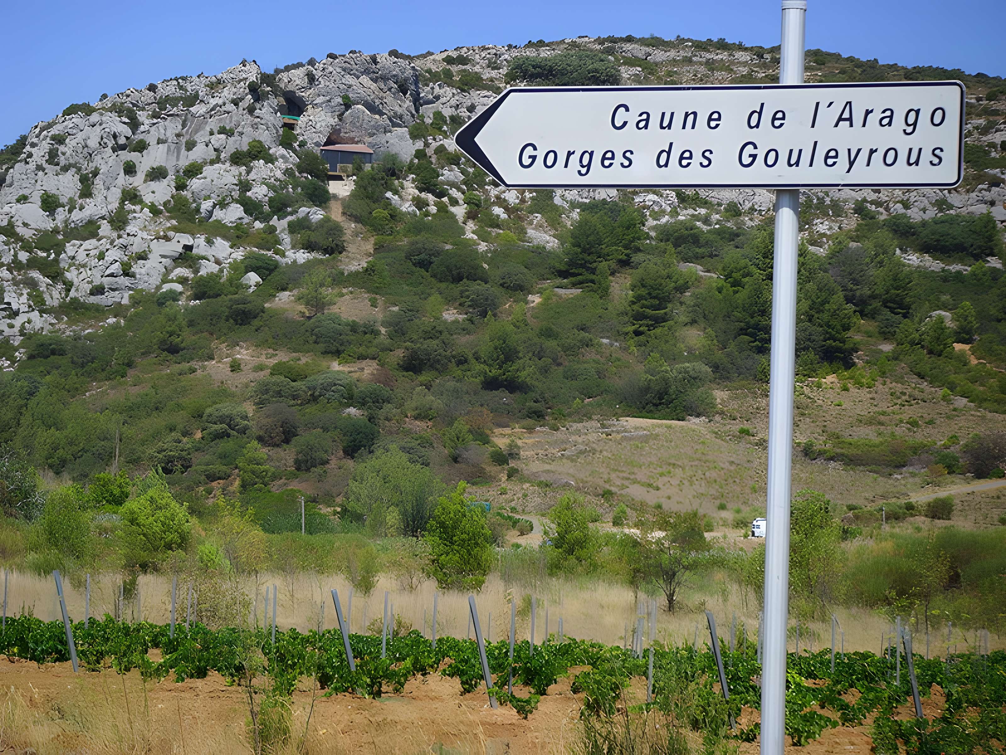 Grotte de la Caune de l'Arago